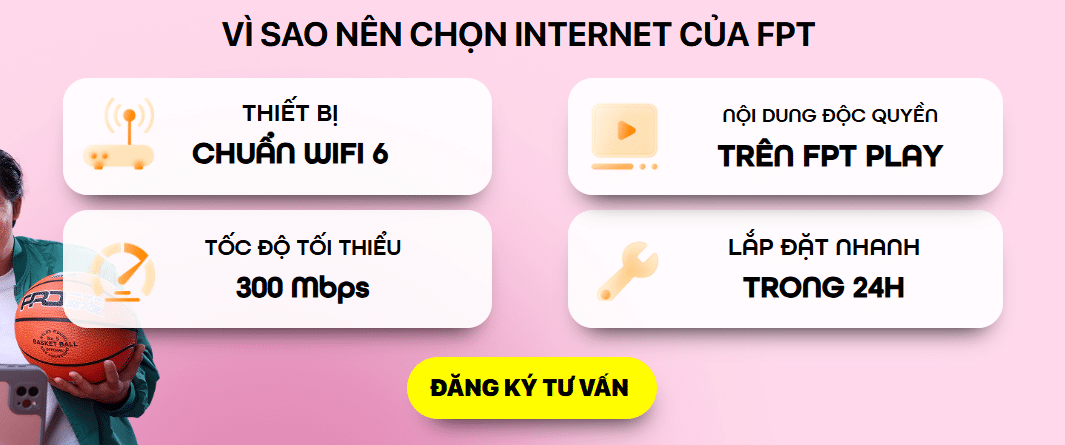 VI SO CHON MANG FPT